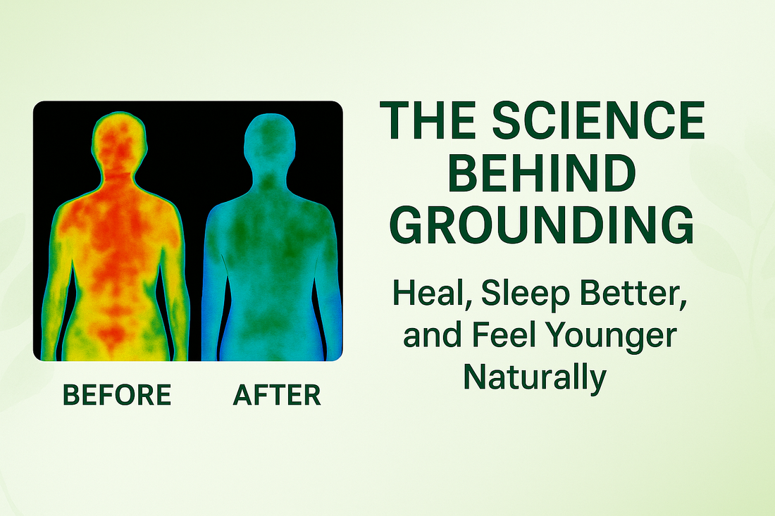 The Science Behind Grounding: How Sleeping Connected to the Earth Can Transform Your Health